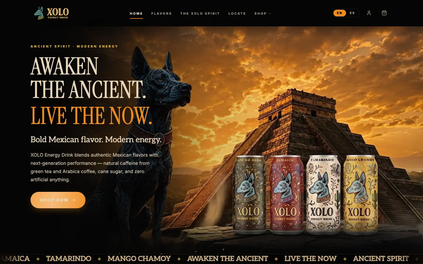 Screenshot of Energy by XOLO homepage